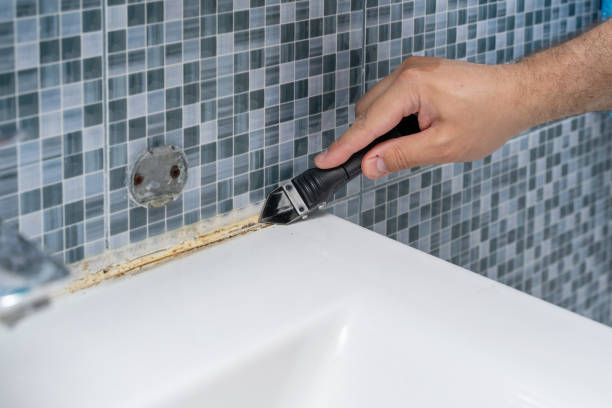 Best Health and Safety Mold Remediation in Koontz Lake, IN